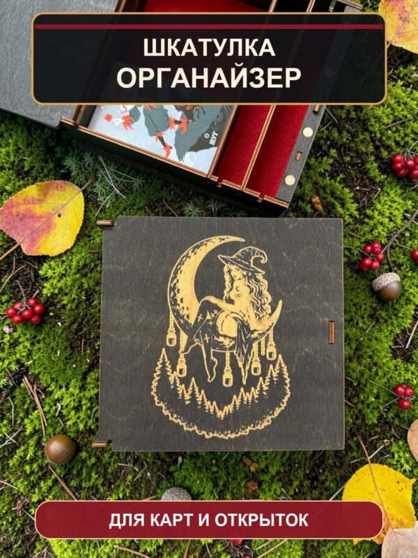 14371334559.jpg Шкатулка-органайзер для карт Таро Ведьма в лунном лесу, из дерева, с перегородками
