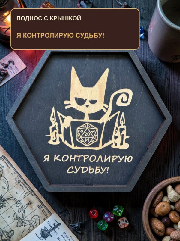 Поднос для кубиков DnD с крышкой, надпись Я контролирую судьбу