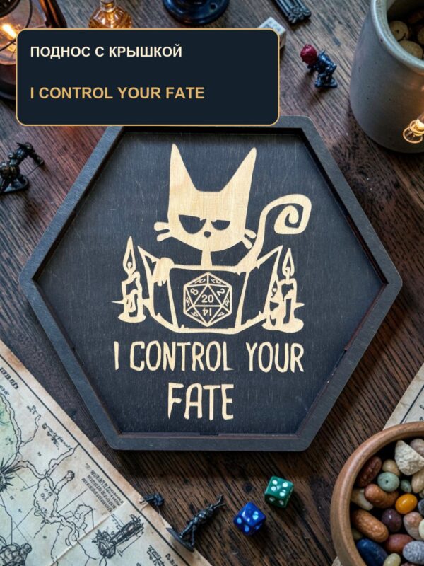 Поднос для кубиков DnD с крышкой, надпись I Control Your Fate